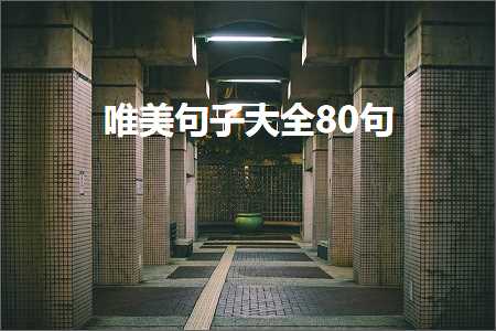 唯美句子大全80句（文案651条）